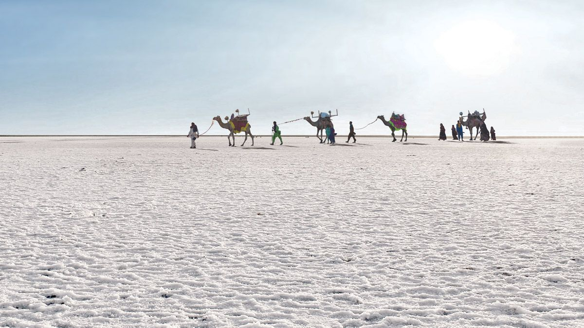 Kacch Che Ran The Rann of Kutch - The Only White Desert in India - Traveller Media ...